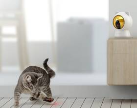 Chytrá hračka Petoneer Smart Dot bílá

 obrázek produktu 2 z 3
