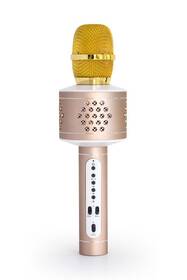 Karaoke mikrofon Technaxx BT-X35 stříbrný/zlatý

 obrázek produktu 1 z 10