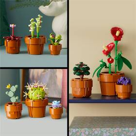 Stavebnice LEGO® Botanicals 10329 Miniaturní rostliny 

 obrázek produktu 8 z 8