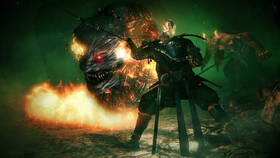 Hra Sony Nioh 

 obrázek produktu 4 z 11