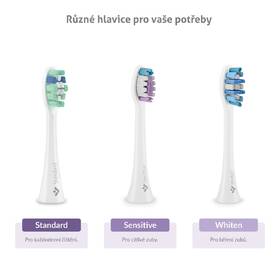 Zubní kartáček TrueLife SonicBrush Clean70 UV bílý

 obrázek produktu 17 z 20