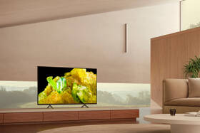 Televize Sony XR-50X90S 

 obrázek produktu 8 z 12