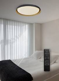Stropní svítidlo Top Light Satellite 40C RC, 36W, 3600lm, 43cm, s dálkovým ovládačem, stmívání, teplá/neutrální/studená bílá černé/hnědé

 obrázek produktu 4 z 4