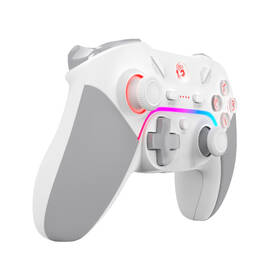 Gamepad A4Tech GPW70 bílý

 obrázek produktu 6 z 7