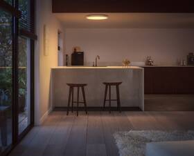 Stropní svítidlo Philips Surimu Hue Panel, 60W, 39,5 cm, White and Color Ambiance bílé

 obrázek produktu 4 z 4
