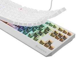 Klávesnice Genesis THOR 230, TKL, RGB, Outemu Brown, US layout bílá

 obrázek produktu 10 z 10