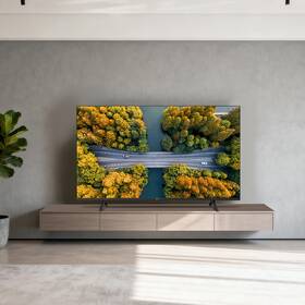 Televize Metz 60MNH7000Z 

 obrázek produktu 10 z 10