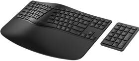 Klávesnice HP 960 Ergonomic CZ černá

 obrázek produktu 3 z 4