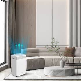 Odvlhčovač Rohnson R-91620 ION & Carbon Filter bílý

 obrázek produktu 5 z 7