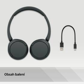 Sluchátka Sony WH-CH520 černá

 obrázek produktu 13 z 13