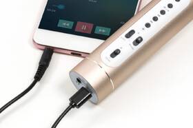 Karaoke mikrofon Technaxx BT-X35 stříbrný/zlatý

 obrázek produktu 6 z 10