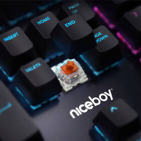 Klávesnice Niceboy ORYX K445 Element černá

 obrázek produktu 7 z 7