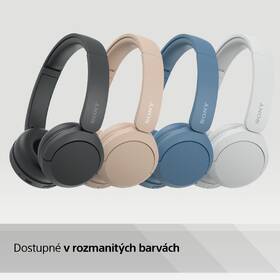 Sluchátka Sony WH-CH520 modrá

 obrázek produktu 8 z 13