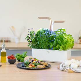 Chytrý květináč Véritable CONNECT bílý/champagne

 obrázek produktu 4 z 6