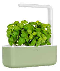 Chytrý květináč Click and Grow Smart Garden 3 šalvějový

 obrázek produktu 1 z 4