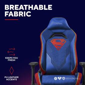 Herní židle Trust GXT 721SM RUYA PRO Superman modrá

 obrázek produktu 7 z 10