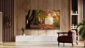 Televize TCL 58P655 
