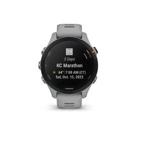 Chytré hodinky Garmin Forerunner 255S šedé

 obrázek produktu 3 z 7