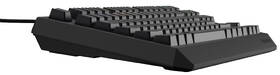 Klávesnice Genesis THOR 230, TKL, RGB, Outemu Red, CZ-SK layout černá

 obrázek produktu 5 z 19