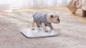 Osobní váha Xiaomi Mi Smart Scale 2 white 

 obrázek produktu 3 z 3