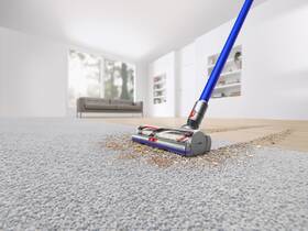  Dyson  
