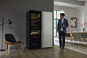 Vinotéka Miele KWTS 4785 F černá

 obrázek produktu 10 z 11