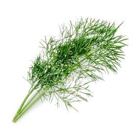 Semínka Véritable Lingot Kopr - BIO 

 obrázek produktu 1 z 2