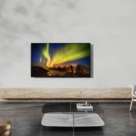 Televize Panasonic TX-55LZ980E 
