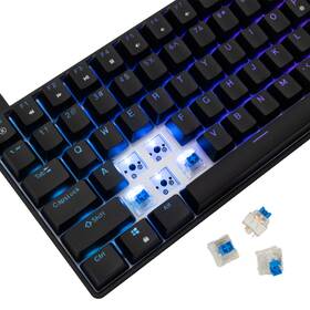Klávesnice White Shark HAMACHI, RGB, Blue Switch, US layout černá

 obrázek produktu 3 z 11