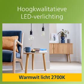 Žárovka LED Philips 60W, filament, ST64, E27, teplá bílá 

 obrázek produktu 3 z 3