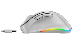 Myš Genius Ergo 9000S Pro bílá

 obrázek produktu 3 z 4