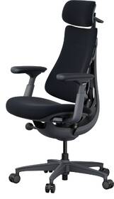 Ergonomická židle LiberNovo Omni, 48 cm černá

 obrázek produktu 5 z 8