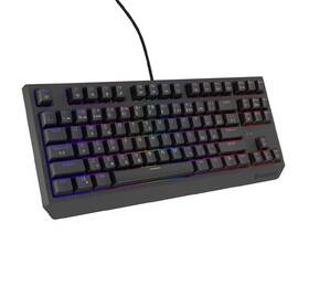 Klávesnice Genesis THOR 230, TKL, RGB, Outemu Red, CZ-SK layout černá

 obrázek produktu 14 z 19