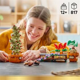 Stavebnice LEGO® Harry Potter™ 76474 Rostliny z hodiny bylinkářství v Bradavicích 

 obrázek produktu 4 z 8