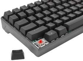 Klávesnice White Shark KATANA , US layout, Red Switch černá/šedá

 obrázek produktu 6 z 7