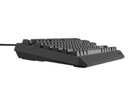 Klávesnice Genesis THOR 230, TKL, RGB, Outemu Red, CZ-SK layout černá

 obrázek produktu 19 z 19