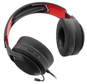 Headset Genesis RADON 610, 7.1 Virtual černá

 obrázek produktu 4 z 5