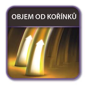 Kulma Rowenta CF6430D0 bílá/fialová

 obrázek produktu 6 z 18