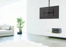 Držák TV STELL SHO 3900, stropní, pro úhlopříčky 40" až 70", nosnost 50 kg černý

 obrázek produktu 6 z 8