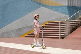 Elektrická koloběžka Ninebot by Segway Zing C8 

 obrázek produktu 12 z 17