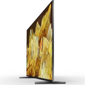 Televize Sony XR-55X90L 

