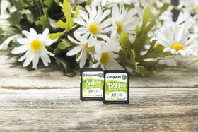 Paměťová karta Kingston SDXC 128GB UHS-I U1 (80R/10W) 

 obrázek produktu 9 z 9