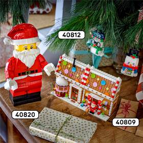Stavebnice LEGO® 40820 Zvětšená minifigurka Santy 

 obrázek produktu 5 z 7