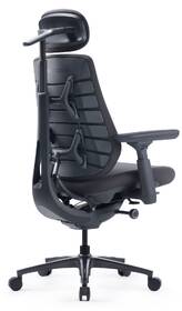 Ergonomická židle LiberNovo Maxis Electric Graphite 52 cm grafitová

 obrázek produktu 3 z 9
