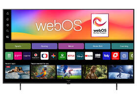 Televize LG OLED65B6ELB 

 obrázek produktu 8 z 9