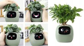 Chytrý květináč Plantsio IVY zelený

 obrázek produktu 1 z 5