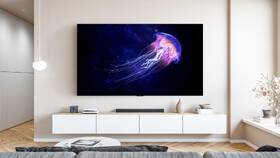 Televize TCL 85RM7L 

 obrázek produktu 15 z 15
