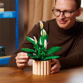 Stavebnice LEGO® Botanicals 11504 Lopatkovec 

 obrázek produktu 4 z 9