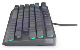 Klávesnice ENDORFY Thock V2 TKL CZ šedá

 obrázek produktu 6 z 20
