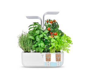Chytrý květináč Véritable SMART bílý

 obrázek produktu 4 z 16